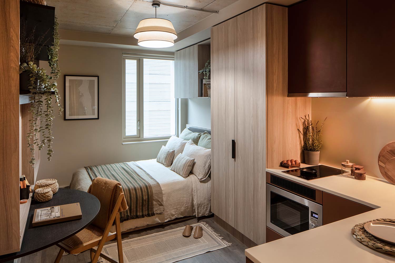 Co-Living or HMOs? | Which Option Fits You?